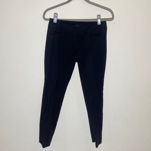 Petite Ann Taylor Dress Pants